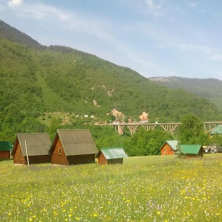 Вилла Kamp Rafting Kljajevica Luka Плевля Номер фото